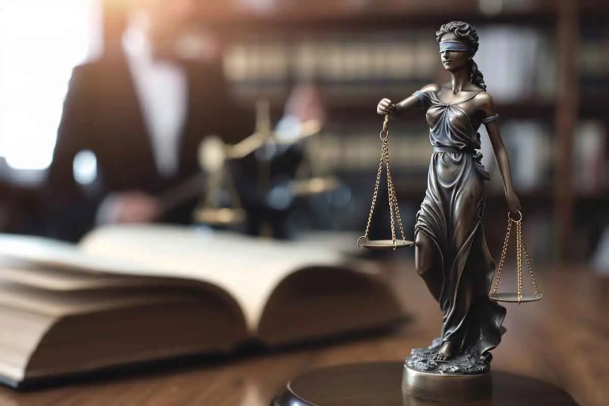 abogados 6